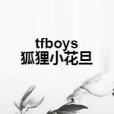 tfboys狐狸小花旦