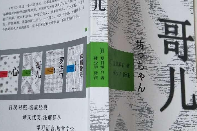 哥兒(2008年中國宇航出版社出版的圖書)