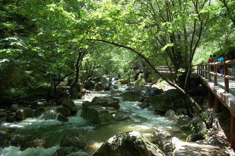 太平國家森林公園