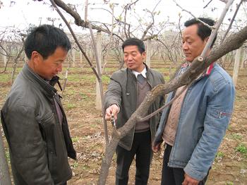 第二坡村民學習種植獼猴桃