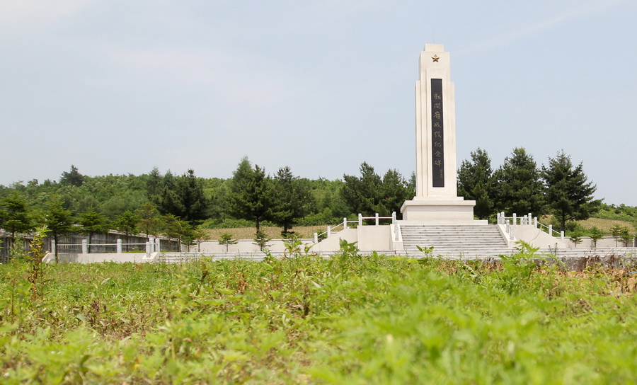 富國村(遼寧省鳳城市愛陽鎮富國村)