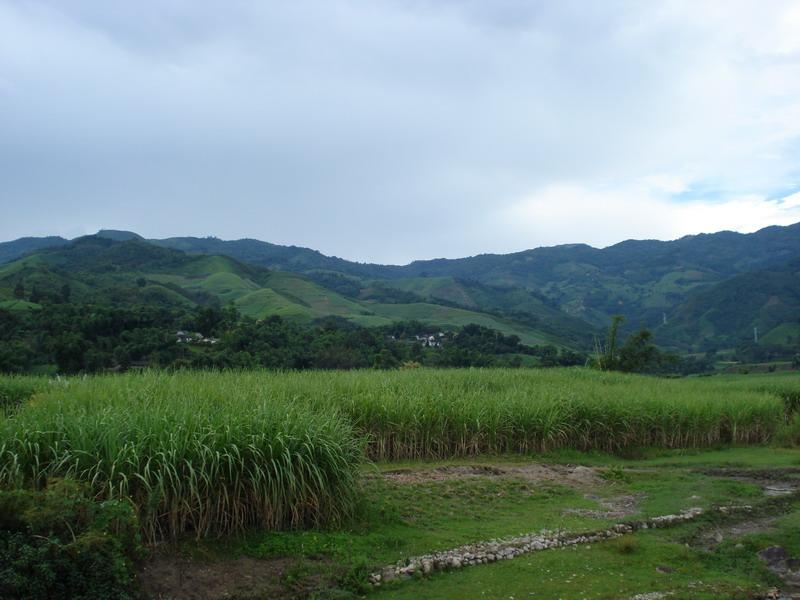 村莊遠景