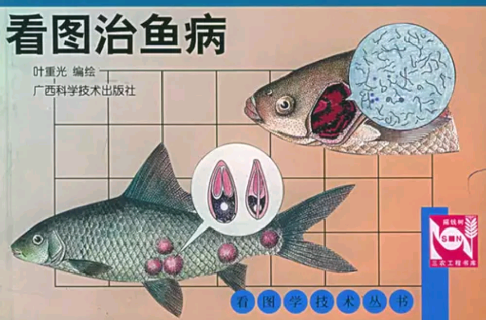 看圖治魚病