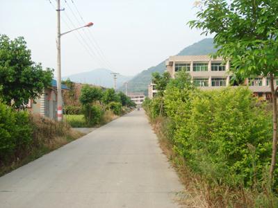 中魁村