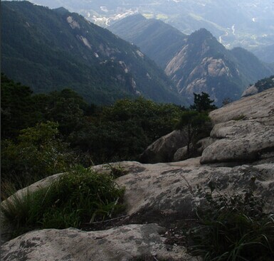 保護區風景