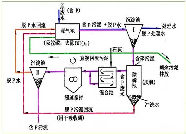 污水生物除磷