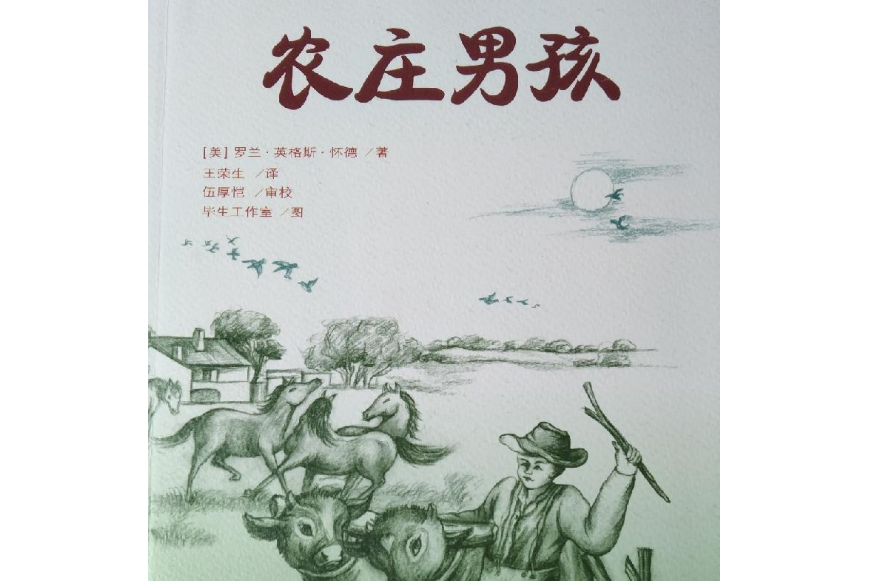 農莊男孩(2009年天地出版社出版的圖書)