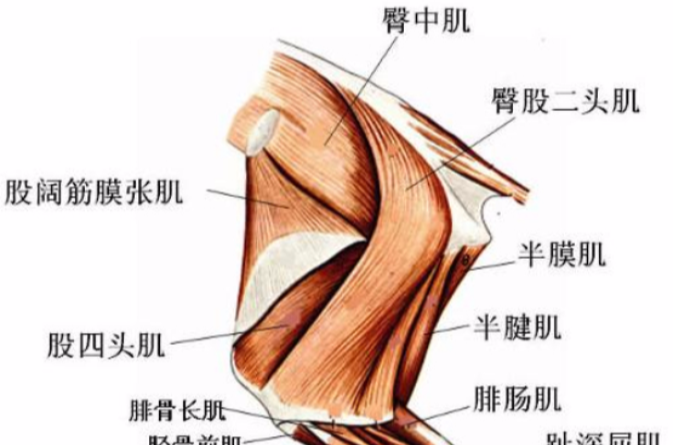 痛性肌痙攣