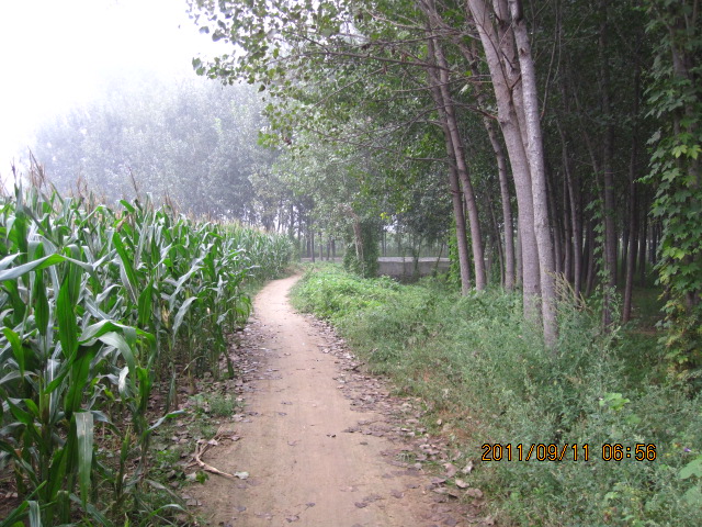 村東南小路