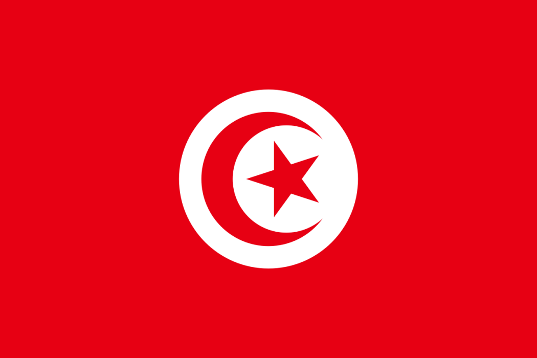 2020年東京奧運會突尼西亞體育代表團