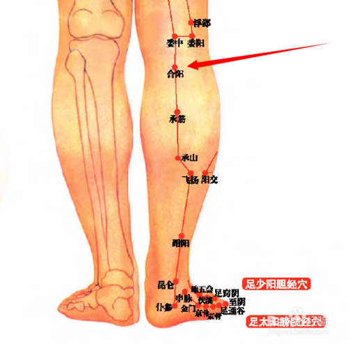 合陽穴