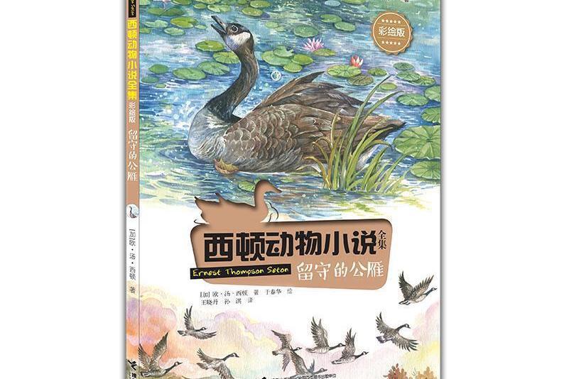 西頓動物小說：留守的公雁