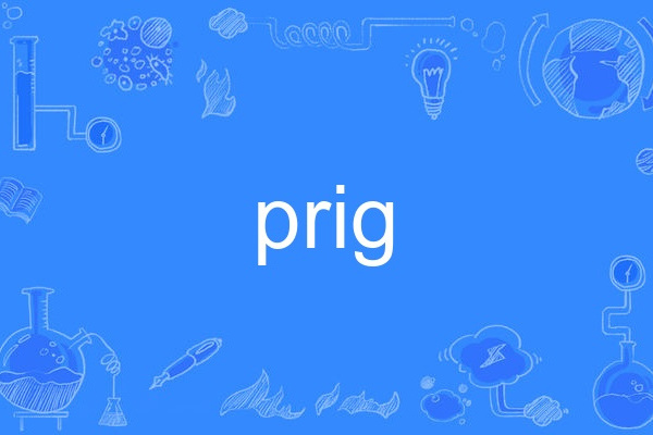 prig