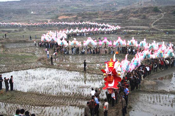 姑田游大龍