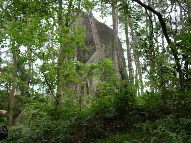 雙峰寺(揭陽雙峰寺)