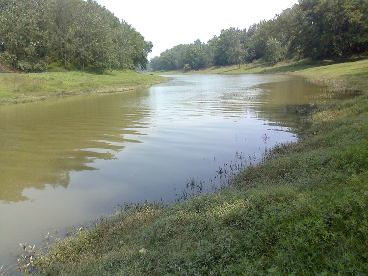 永隆河