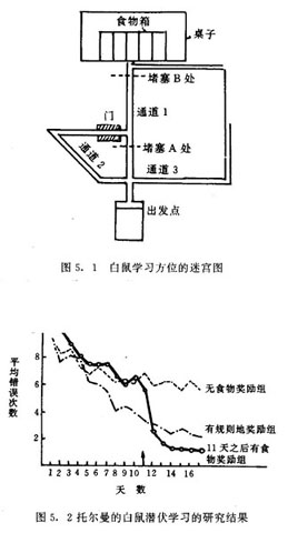 托爾曼的白鼠迷宮實驗和潛伏學習實驗