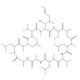 環孢菌素A(環孢多肽A)