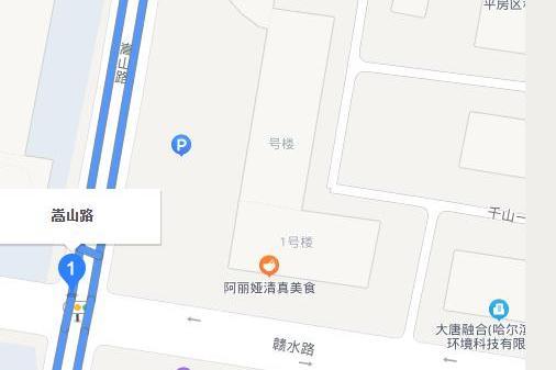 嵩山路(黑龍江省哈爾濱市嵩山路)