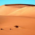 沙漠(為流沙、沙丘所覆蓋的地形)