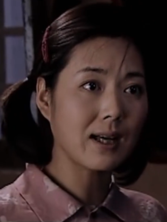 上門女婿(2006年張豐毅主演電視劇)