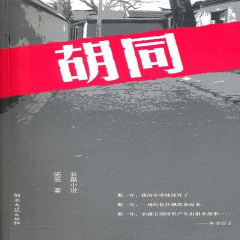 胡同(2010年湖南文藝出版社出版的圖書)