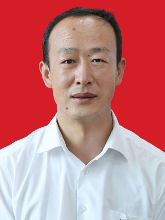 趙寶平(陝西省鹹陽市長武縣林業局副主任科員)