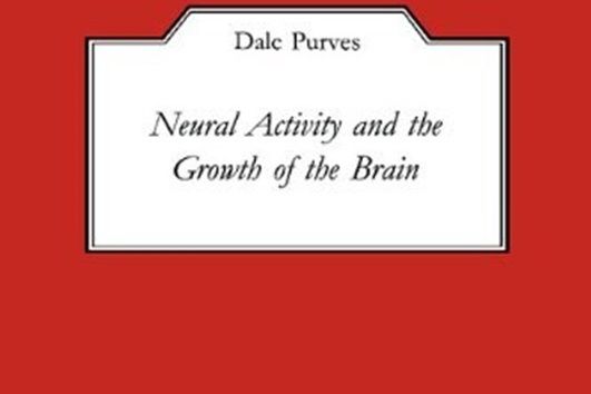 Neural Activity and the Growth of the Brain