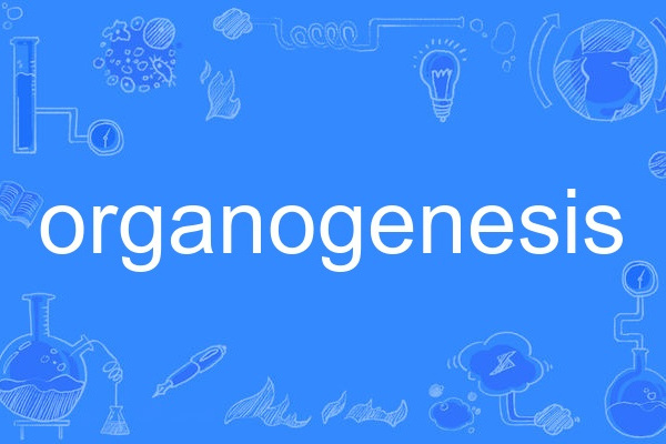 organogenesis