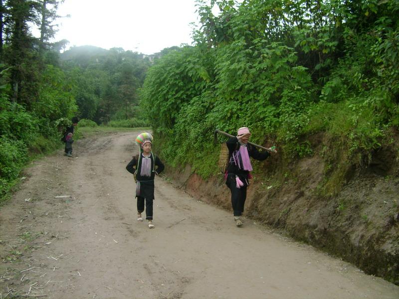 進村道路