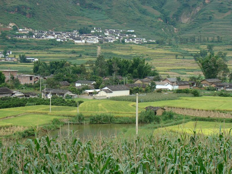 乾水田自然村(雲南省楚雄雙柏縣鄂嘉鎮龍樹村下轄自然村)