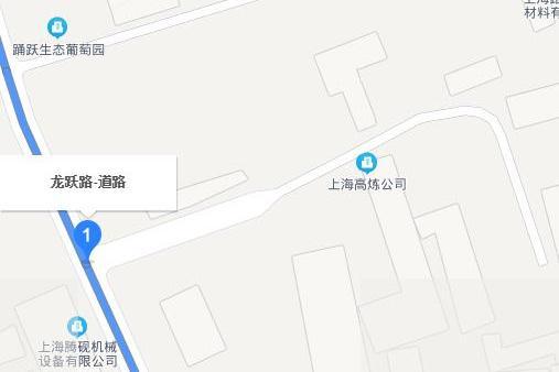 龍躍路(上海市龍躍路)