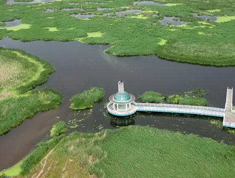 龍鳳國家濕地公園