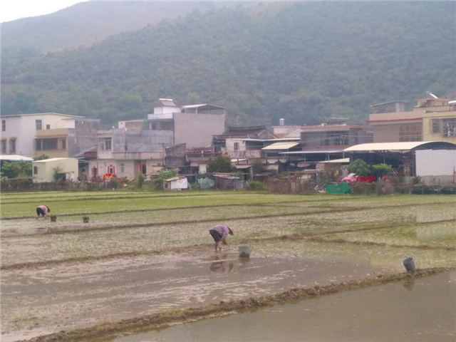 意溪鎮(意溪)