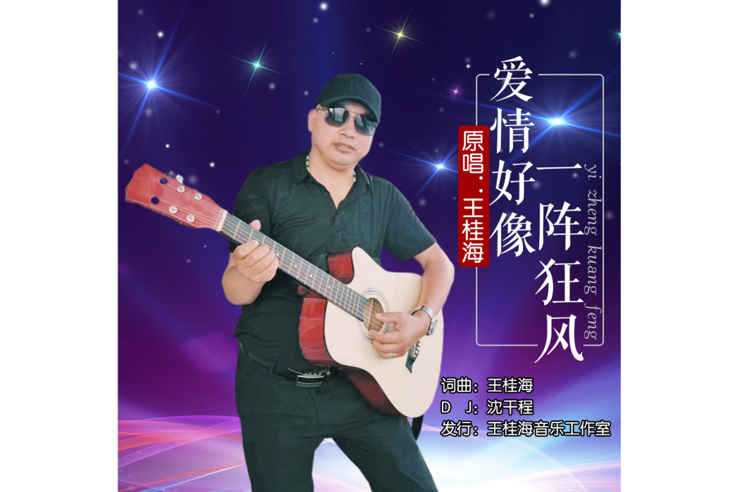 愛情好像一陣狂風(王桂海演唱的歌曲)