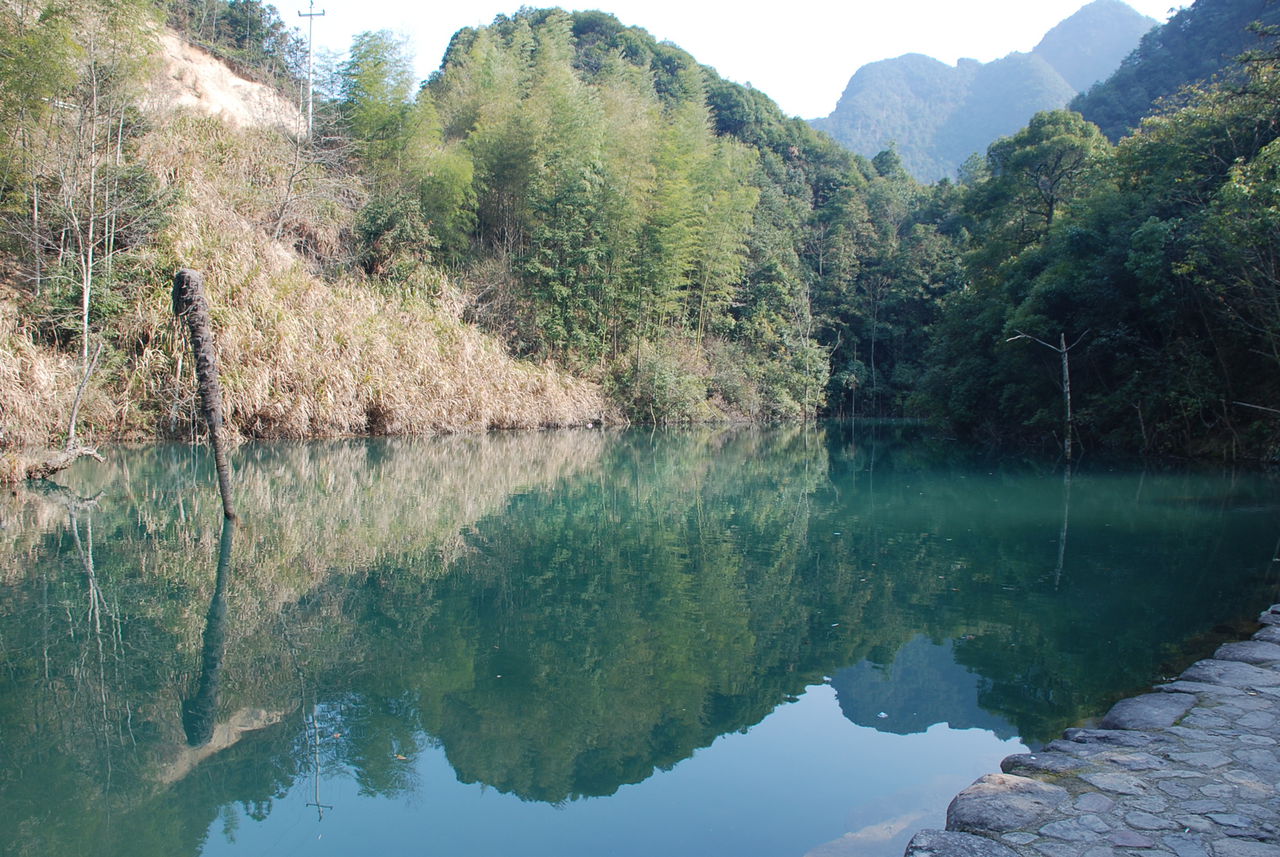 牛頭山森林公園(湖北牛頭山國家森林公園)