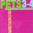 PETS3-4必備詞速記手冊