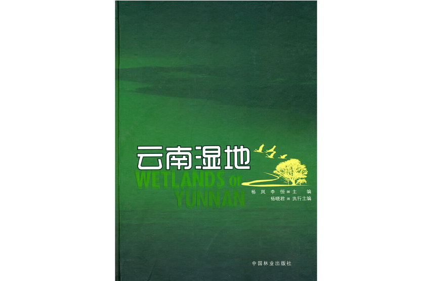 雲南濕地(2010年中國林業出版社出版的圖書)