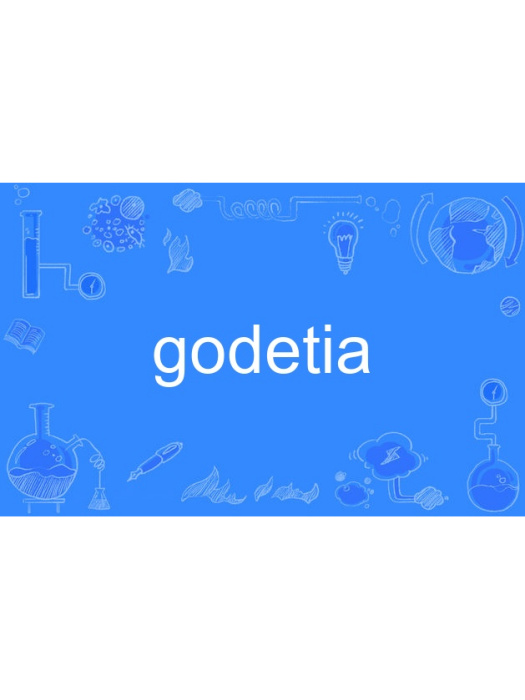 godetia