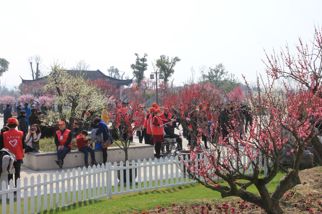 梅花灣