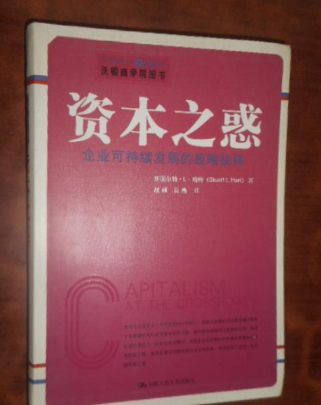 資本之惑——企業可持續發展的戰略抉擇