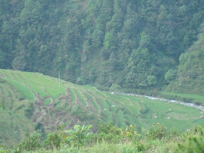 上中山自然村