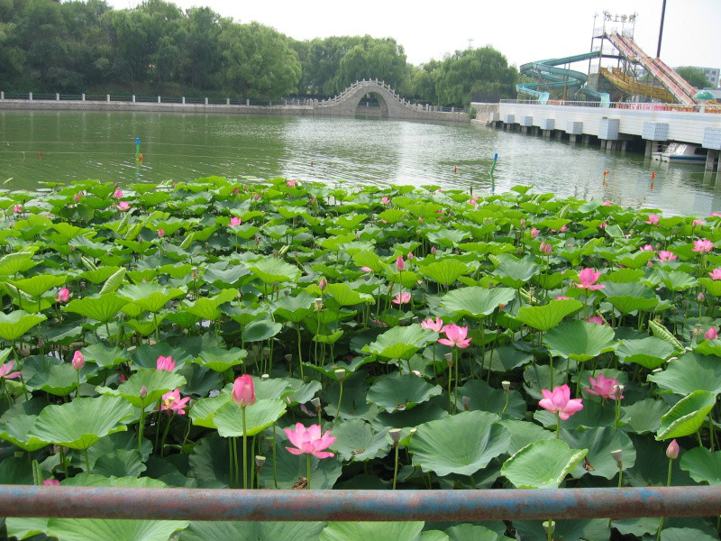 四平南湖公園