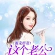 蜜寵嬌妻：這個老公有點甜