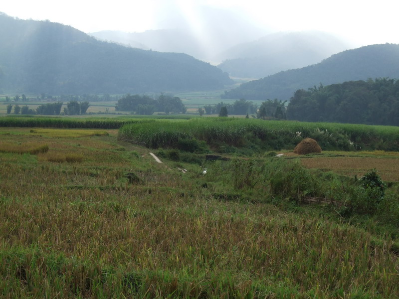 雲南省盈江縣盞西鎮松坡村耕地