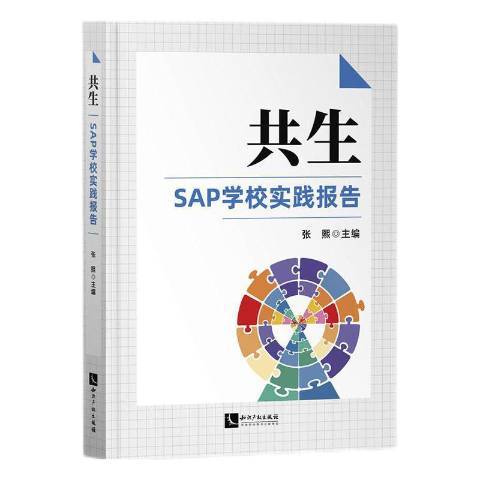 共生SAP學校實踐報告2020