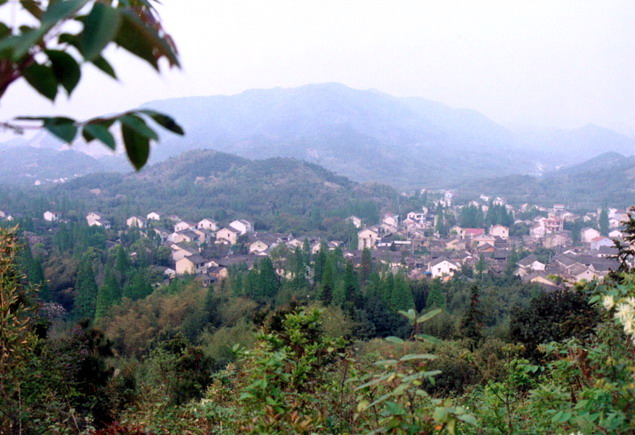 石步村(浙江餘姚市三七市鎮下轄村)