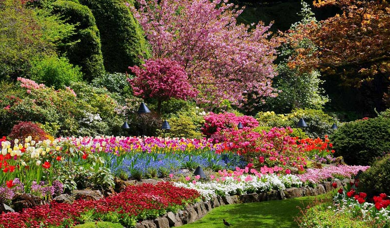 春日下沉花園