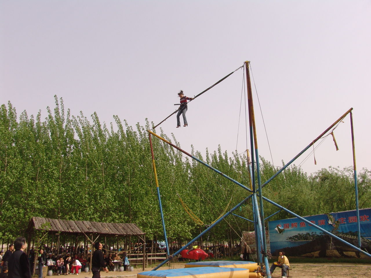 金鷺鴕鳥遊樂園