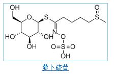 蘿蔔苷